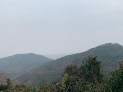 -九曜山