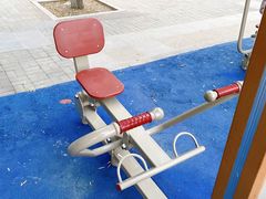 -大兴滨河森林公园