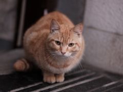 -Onirii Coffee(长乐路店)