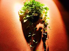 -蕃茄述·好汤自然来(江汉路店)