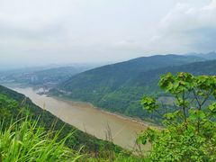 -铁山坪森林公园