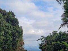 -呀诺达热带雨林