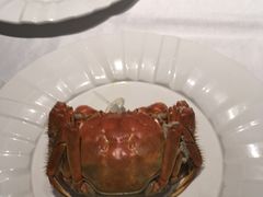 -新花城蟹粉馆(乌鲁木齐店)