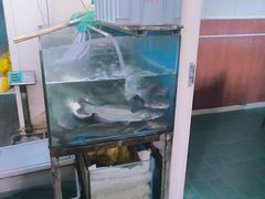 -文记沸腾鱼(永安路总店)