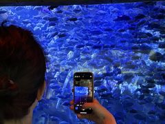 -波塞冬旅游度假区