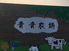 -盈香心动乐园