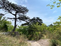 -妙峰山风景名胜区