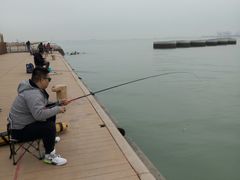 -东疆建设开发纪念公园