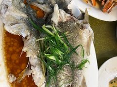 -波记美食店·现捞海鲜