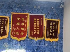 -瑞派名望24h动物医院异宠专科·猫专科·骨科·重症监护分院