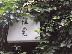 -植觉