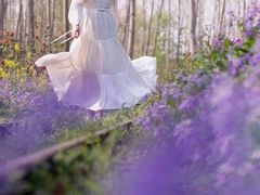 -合肥滨湖国家森林公园