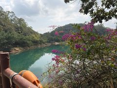 -大雁山风景区