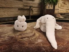 -天目湖涵田半山温泉