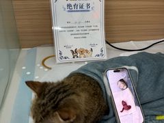 -达爱动物医院·犬猫分区·CT·复杂眼科(远洋山水分院)