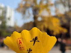 -古大圣慈寺