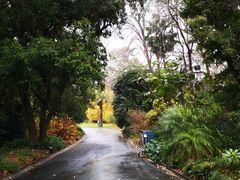 -墨尔本皇家植物园
