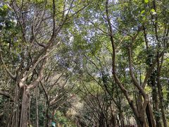 -云溪植物园