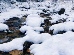 -秦岭风景区