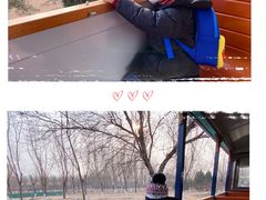 -永定河休闲森林公园