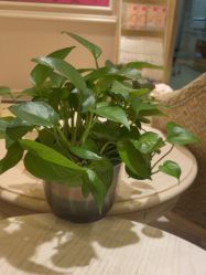 -北京俪婴妇产医院(朝阳大悦城店)