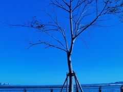 -滴水湖