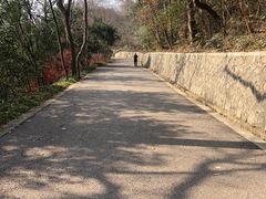 -紫金山山顶公园