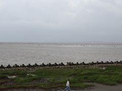 -南汇嘴观海公园