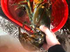 -江杨农产品批发市场