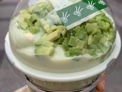 -茉酸奶(春熙路店)