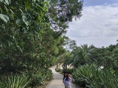 -广东惠东海龟国家级自然保护区