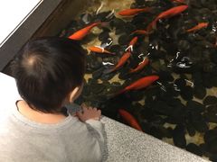-大渔之观(安贞店)