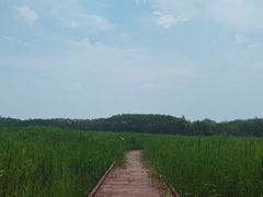 -西青郊野公园