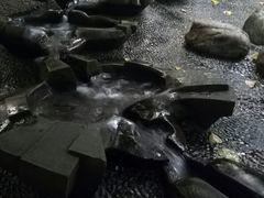 -成都市活水公园