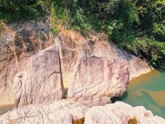 -广州白江湖森林公园