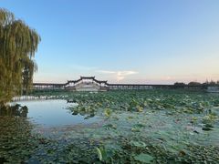 -观桥阁(锦溪店)