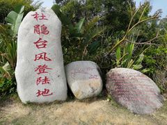 -广东惠东海龟国家级自然保护区