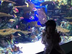 -上海海洋水族馆