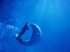 -多彩贵州城极地海洋世界