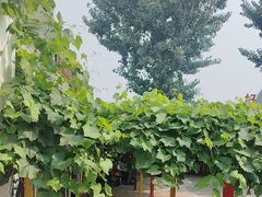-钰田大院·怀柔地道农家菜·烤虹鳟鱼(雁栖湖店)