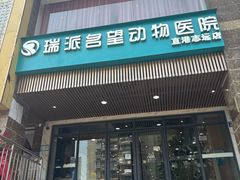 -瑞派名望志远动物医院·猫科·內科·异宠专科(直港大道店)