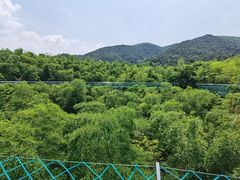 -陶祖圣境风景区