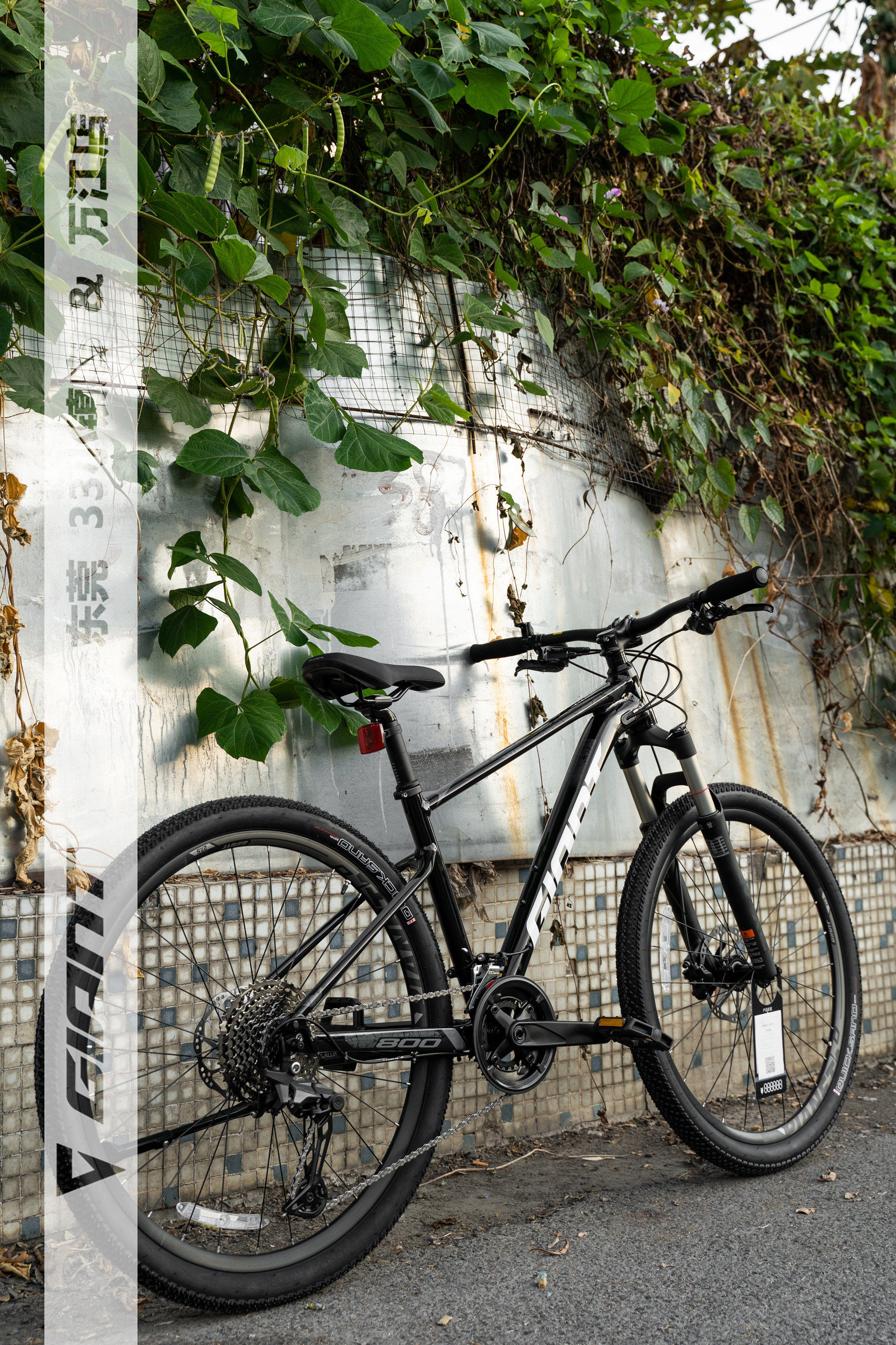 山地车推荐|2024新款捷安特xtc800亮黑