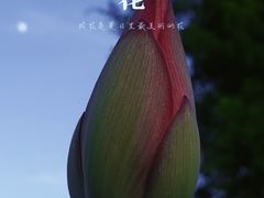 -厦门园林博览苑