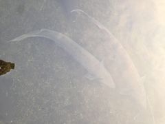 -天源渔港农庄