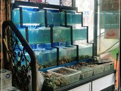 水产区-老东镇啤酒屋海鲜加工·蒸汽海鲜·海鲜烧烤(台东店)