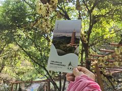 -大雁山风景区