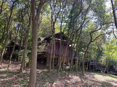 -洪湖悦兮半岛国际温泉度假村