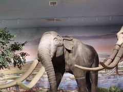 -湖南省地质博物馆