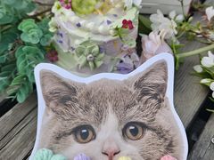 -花花卷卷·鲜食蛋糕(泉屋店)